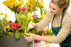 There are 2315 flower miss you for sale on etsy, and they cost 14,06 $ on average. Miss You Flowers Flower Delivery Flowers Florist