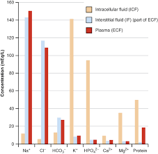 By adulthood, the differences are even more pronounced: 26 1 Body Fluids And Fluid Compartments Anatomy Physiology