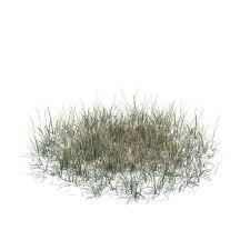 Long Dry Grass 3d Model Obj 1 Grass Drawing Landscape Architecture Diagram Architecture Collage