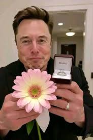 It's so painful that my beautiful future wife looking at this my post from  USA 🇺🇸 doesn't want to send me a text 😭😭 I need a loyal Woman from USA  🇺🇸