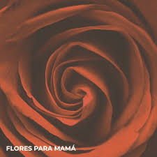 Flores4u.com entrega arreglos florales a domicilio en toda colombia. Flores Para Mama Servicio De Informacion Agroalimentaria Y Pesquera Gobierno Gob Mx
