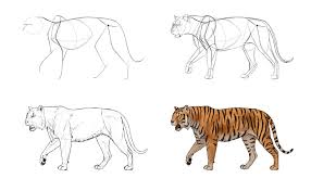 Pin By Autodesk Sketchbook On Wild In 2021 Animal Drawings Tiger Drawing Animal Sketches