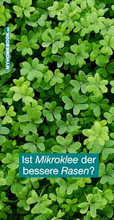 Ist Mikroklee Der Bessere Rasen Rasen Gartentipps Klee