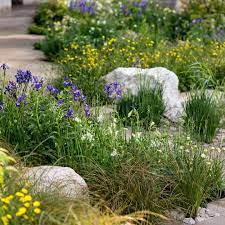 Maybe you would like to learn more about one of these? Gardenersworldmag On Instagram Ranunculus Flower Show Garden Design