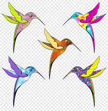 Maybe you would like to learn more about one of these? Hummingbird Drawing Color Beak Colibri Paint Vertebrate Flower Stain Png Pngwing