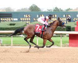 Listed by post number, name, and odds for even more horse racing betting plays and analysis, become an si pro member for access to our exclusive discord chat! Kentucky Derby Horses 2021 What To Know About Concert Tour