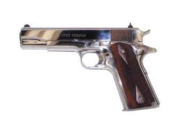 Image result for Grace Silver 1991 Colt