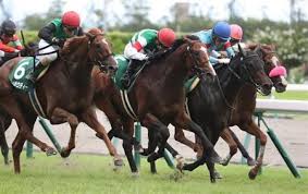 Maybe you would like to learn more about one of these? ç«¶é¦¬äºˆæƒ³ 1 ç¬¬55å›ž é–¢å±‹è¨˜å¿µ G3 2020 ã†ã¾ãªã¿ ç«¶é¦¬ã«ã‚…ãƒ¼ã™é€Ÿå ±