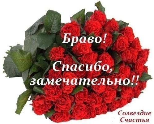 картинки цветы браво 44 фото