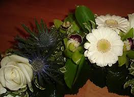 Floral Ideas Anemone Flower Plants Floral