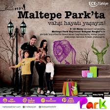 maltepe park ta eglence panosundaki pin