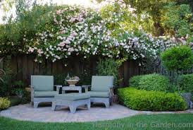 Garden Designers Roundtable Our Home Gardens Gossip In The Garden Privacy Landscaping Landscape Design Backyard