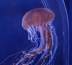 動物園&水族館に行こう！！