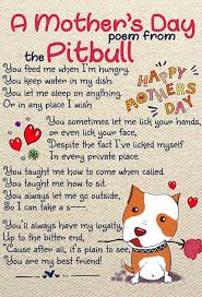 Pin By Angie Lambert On Ruby Rose Pitbulls Mothers Day Poems Pitbull Shirts