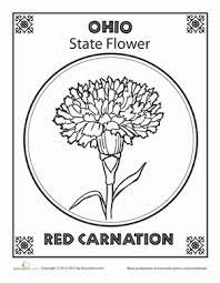 This flower was a favorite of william mckinley and was adopted by the state legislature partly because it represented a token of love and reverence for the ohio president. Ohio State Flower Worksheet Education Com