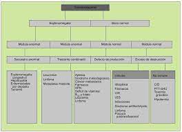 Cuando la trombocitopenia es leve, causa muy pocos signos o síntomas. Un Paciente Con Plaquetopenia Medicina Integral
