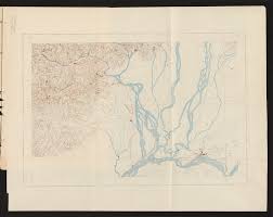 Image result for Aneilema dispermum