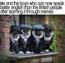 There are images of nicolas cage, president obama, taylor swift and you will also find a meme that says that no problem is definitely not the right response to someone that thanks you. Thank You Meme Culture And The People Who Make Memes Memes
