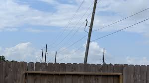 A low overhead power line presents a safety risk. Urgent Power Lines Running Through Backyard Is It Safe The Chat Board The Well Trained Mind Community
