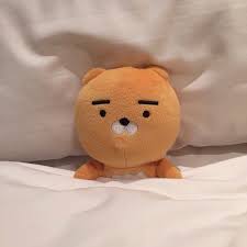 Kakao Aesthetic Kakao Friends Orange Aesthetic Kawaii Plushies