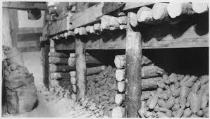Improper storage of some whole fresh fruits and vegetables may cause deterioration of both their flavour and nutrition profile. Root Cellar Wikipedia