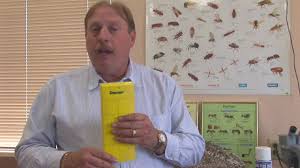 Eliminate all fruit and seal all food containers. Pest Control Tips Home Remedies For Fruit Flies Youtube