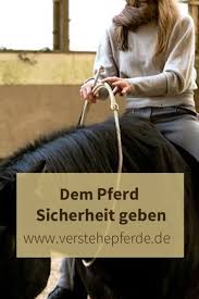 pin von geraldine auf pferde pferde bodenarbeit pferd pferde training