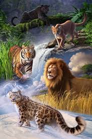 Epingle Par Fabrice Cardinal Sur Tigre Qui Bouge Comme Youtube En 2020 Animaux Sauvages Animaux Art Des Animaux Sauvages