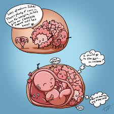 pregnancy mini comic ...