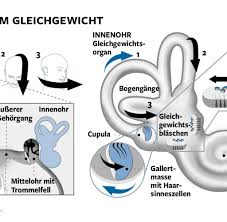 Schwindelattacken Sind Nicht Immer Harmlos Welt