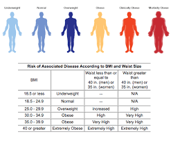 bmi are you normal underweight or overweight qilahzakiah108