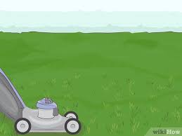 Maybe you would like to learn more about one of these? How To Plant Zoysia Plugs 14 Steps With Pictures Wikihow