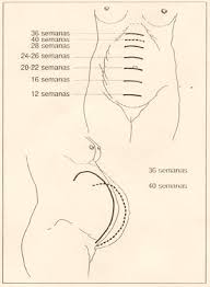 Familiarizarse Con La Hermosa Chica Al Cuanto Tiempo Puedes Saber Que Estas Embarazada