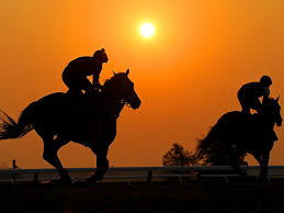 2011 virginia thoroughbred association