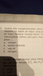 Secara teoritis, apabila kita menambahkan co2 pada air kapur, maka zat kapur yang terkandung dalam air tersebut akan mengikat co2 dari yang mulanya bening menjadi keruh (putih). Apabila Kita Menghembuskan Udara Pernapasan Ke Dalam Air Kapur Yang Jernih Air Kapur Tersebut Brainly Co Id