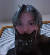 Emily Willie (@emily_willie_) • Instagram photos and videos