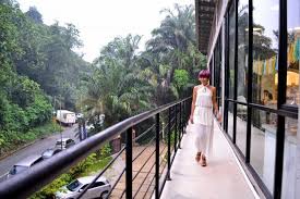 Top free images & vectors for delectable by su in png, vector, file, black and white, logo, clipart, cartoon and transparent. Delectable By Su Glasshouse Taman Seputeh Rebecca Saw