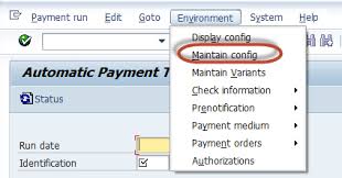 automatic payment program run f110 sap tutorial