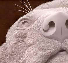 Resultado de imagen de animal invisible alborés
