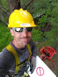 How to manage payroll and accounting for a small tree climbing business?