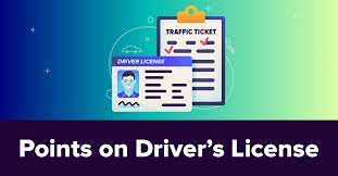 Driver's License Points: State Guide For 2022