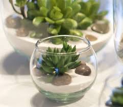 Terrarium Avec Plante Grasse Plantes Grasses Idees Terrariums Plantes Grasses Artificielles