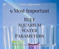 9 Most Important Reef Tank Parameters Test These Ideal