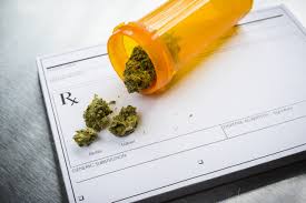 Perhaps it was the unique r. Legal Marijuana Test Your Legal Knowledge Drugabuse Com