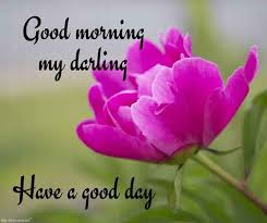 Pin On Morning Love Quotes