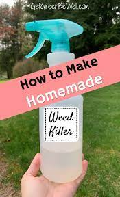 Pin On Gardening
