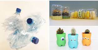 Position your moon cactus near a window, but ensure that it only receives partial sunlight, as bright light can be damaging. 24 Creative Uses For Plastic Bottles That Are Better Than Recycling Expert Home Tips