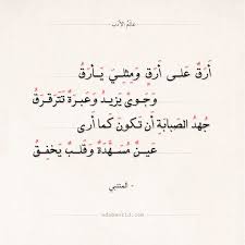 Pin On أبيات شعر