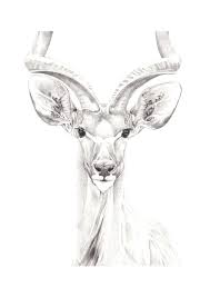 Pin By Susan Shufelt On Sketches Charcoal Art Nature Illustration Art