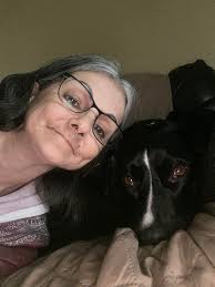 Van life journey from start to current state